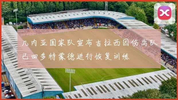 几内亚国家队宣布吉拉西因伤离队已回多特蒙德进行恢复训练